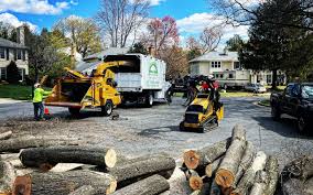 Best Tree and Shrub Care  in Kewaunee, WI