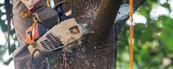Best Weed Control  in Kewaunee, WI