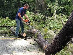 Best Utility Line Clearance  in Kewaunee, WI