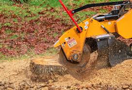 Best Tree Trimming and Pruning  in Kewaunee, WI