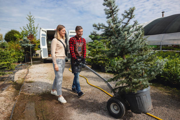 Best Aeration Services  in Kewaunee, WI