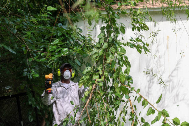 Best Tree Maintenance Programs  in Kewaunee, WI